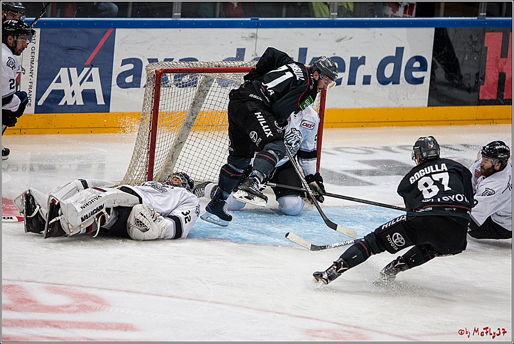 DEL, Koelner Haie - Nuernberg Ice Tiger, 24.01.2017